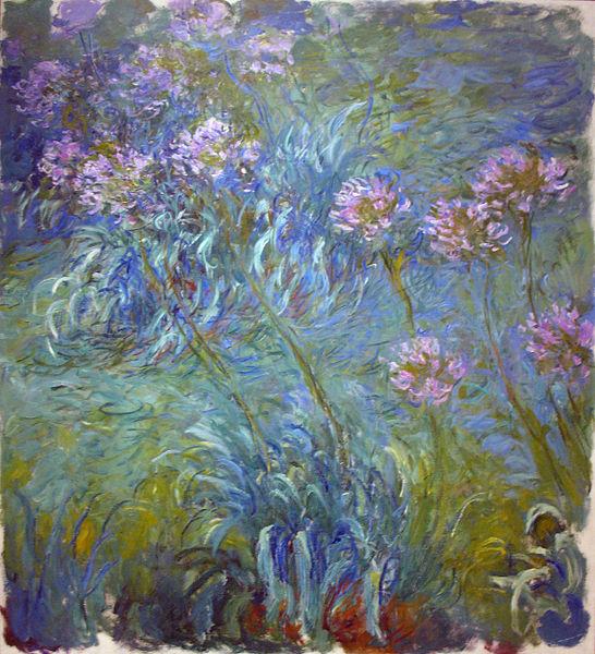 Claude Monet Agapanthus